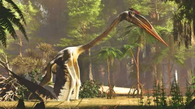 Зображення Sci.News