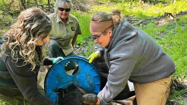 Зображення ZME Science