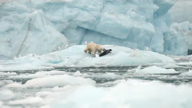 Зображення discoverwildlife.com