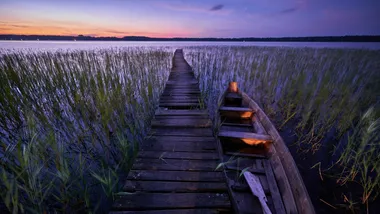 «Шацький», Шацький національний природний парк, ДП «Шацький учбово-досвідний лісгосп». Фото Роксолана Баран, Вікіпедія