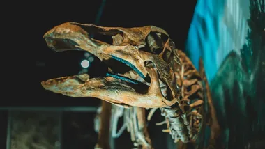 Ілюстративне зображення Jonathan Cooper, Pexels