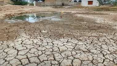 Зображення State of the Planet