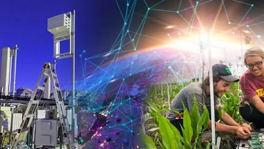 Зображення NSF