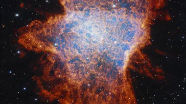 Зображення Sci.News