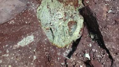 Зображення Dave Lovelace