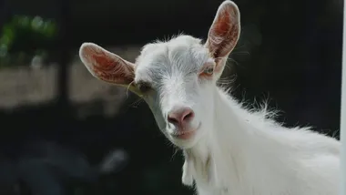 Фото Sergiu Vălenaș