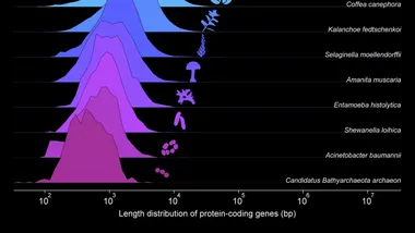 Зображення Fernando J. Ballesteros