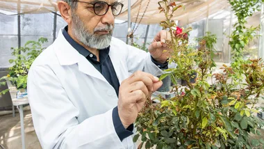 Зображення utulsa.edu