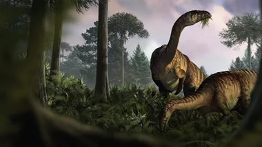 Зображення ZME Science