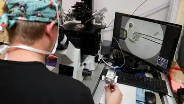 Зображення NYT