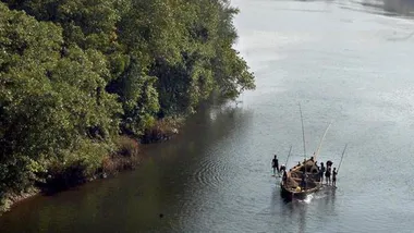 Зображення thehindu.com