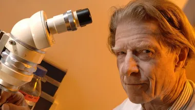 Зображення NYT